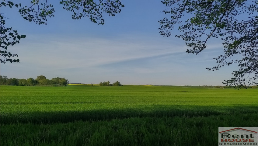 Działka Sprzedaż Jęczydół
