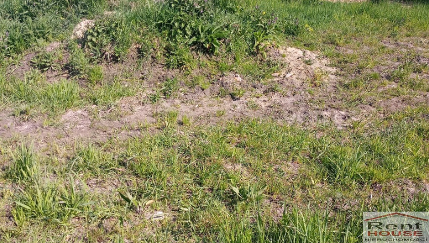 Działka Sprzedaż Szczecin Skolwin