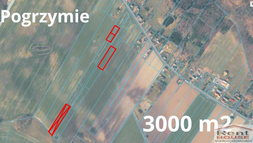 Działka Sprzedaż Pogrzymie