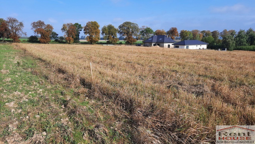 Działka Sprzedaż Kurów