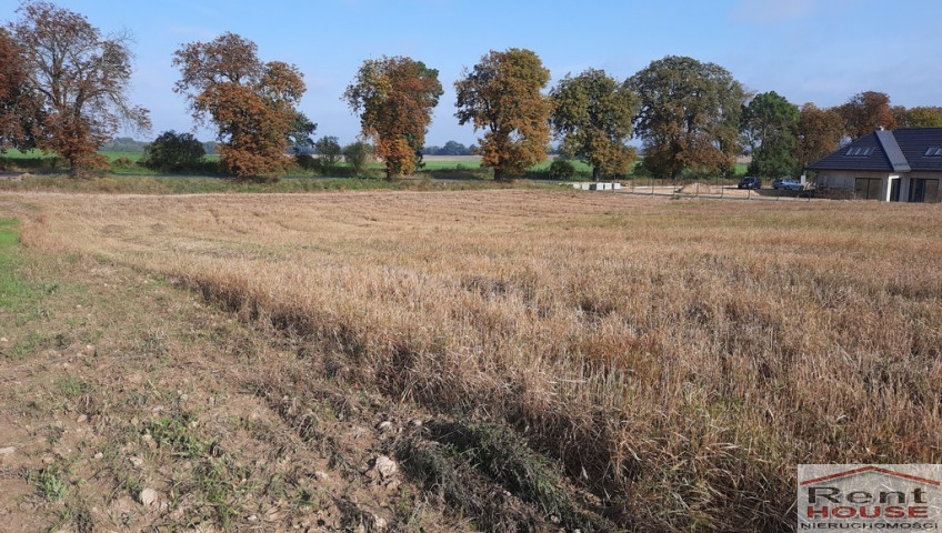 Działka Sprzedaż Kurów