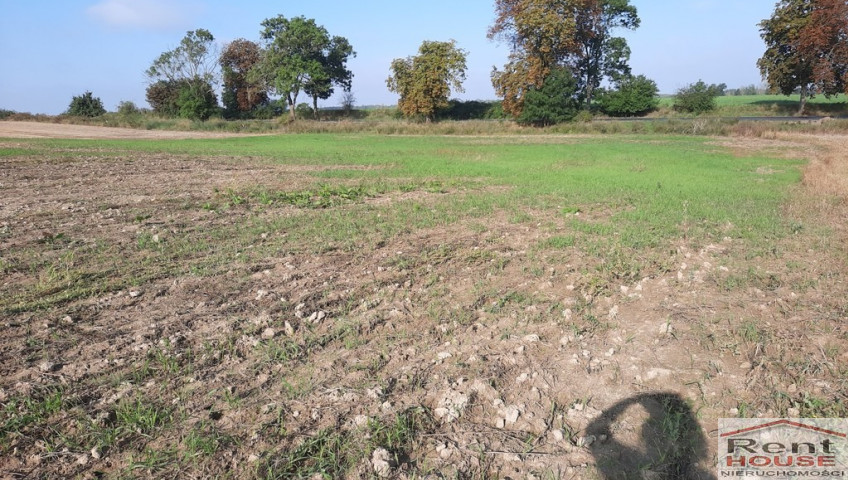 Działka Sprzedaż Kurów