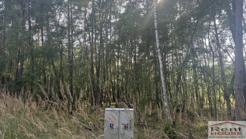 Działka Sprzedaż Dziwnów