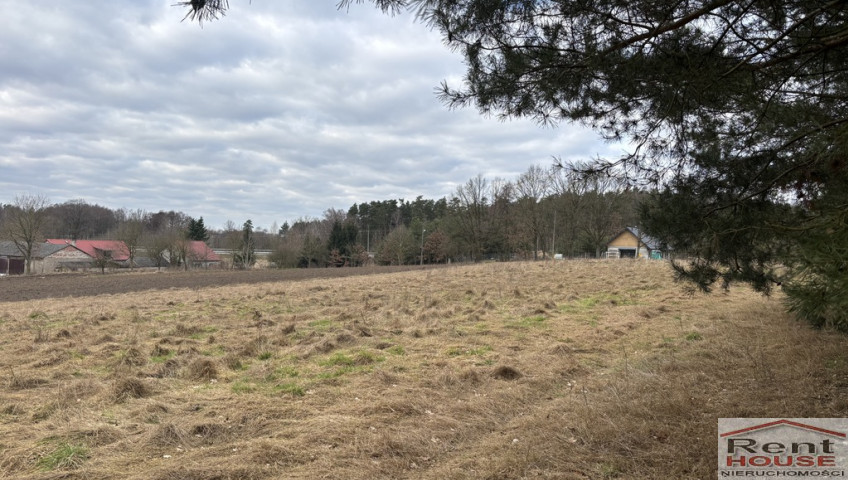 Działka Sprzedaż Kikorze