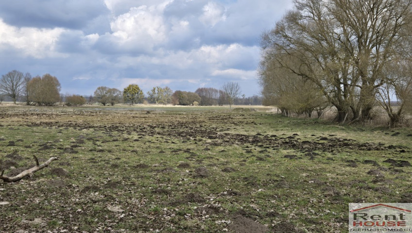 Działka Sprzedaż Rzędziny