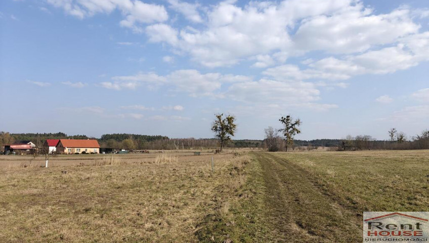 Działka Sprzedaż Żarnowo