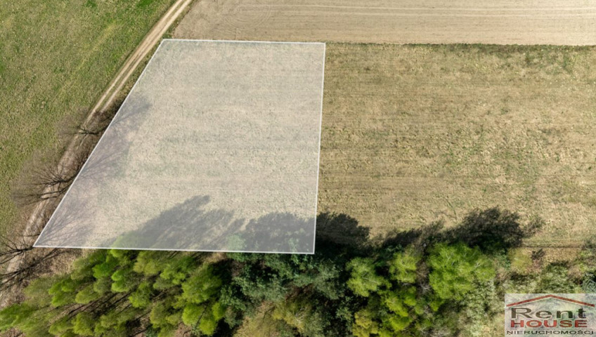 Działka Sprzedaż Kikorze