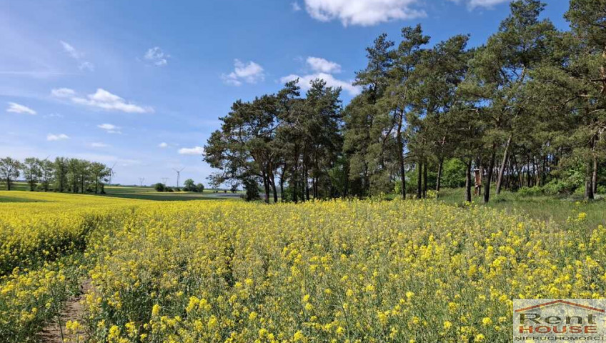 Działka Sprzedaż Parsów