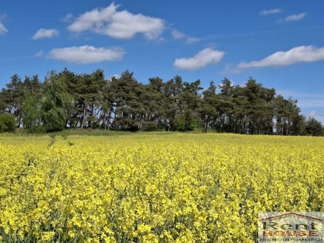 Działka Sprzedaż Parsów
