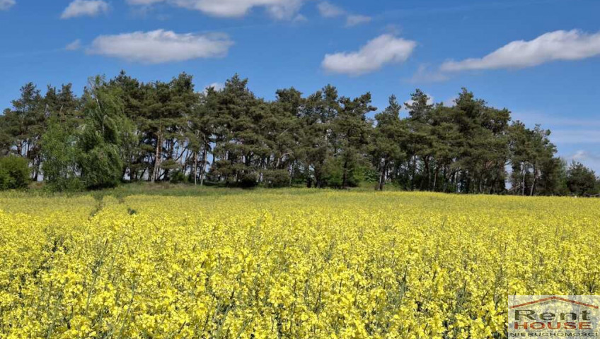 Działka Sprzedaż Parsów