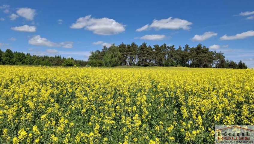 Działka Sprzedaż Parsów