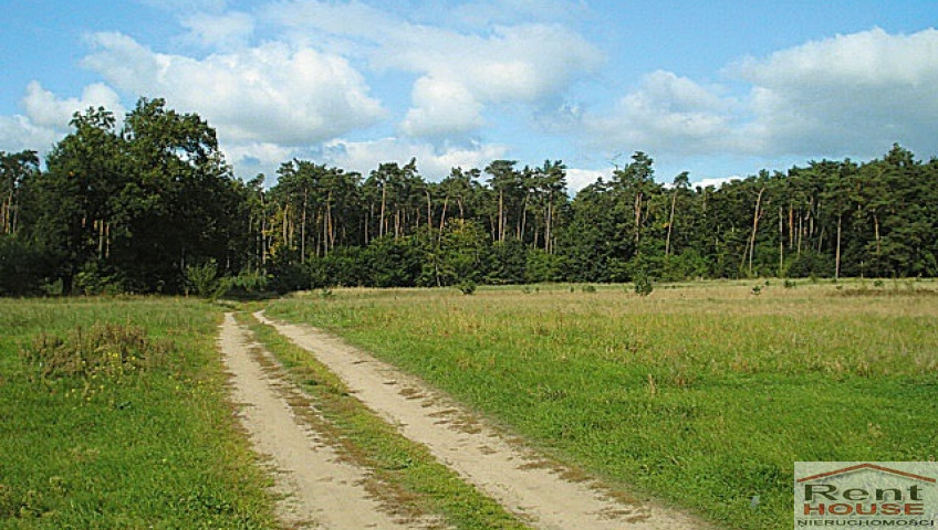 Działka Sprzedaż Kościno