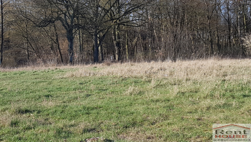 Działka Sprzedaż Kościno