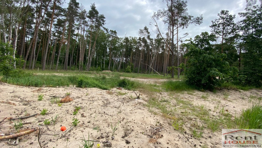 Działka Sprzedaż Dziwnówek
