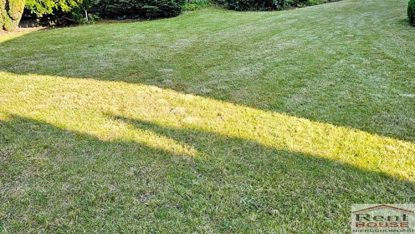 Dom Sprzedaż Szczecin Warszewo