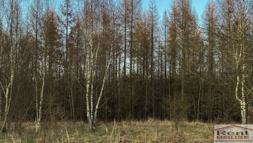 Działka Sprzedaż Błotno Błotny Młyn