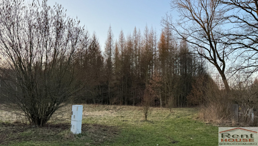 Działka Sprzedaż Błotno Błotny Młyn