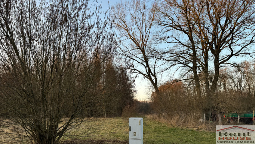 Działka Sprzedaż Błotno Błotny Młyn