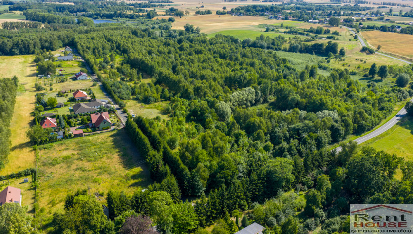 Działka Sprzedaż Grabowo