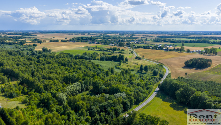 Działka Sprzedaż Grabowo