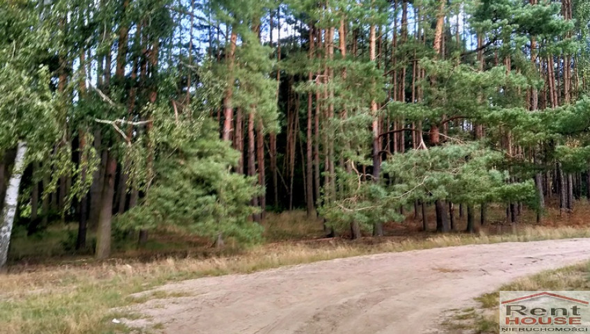 Działka Sprzedaż Tanowo Szczecińska