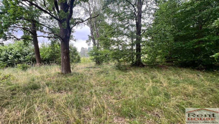 Działka Sprzedaż Storkowo