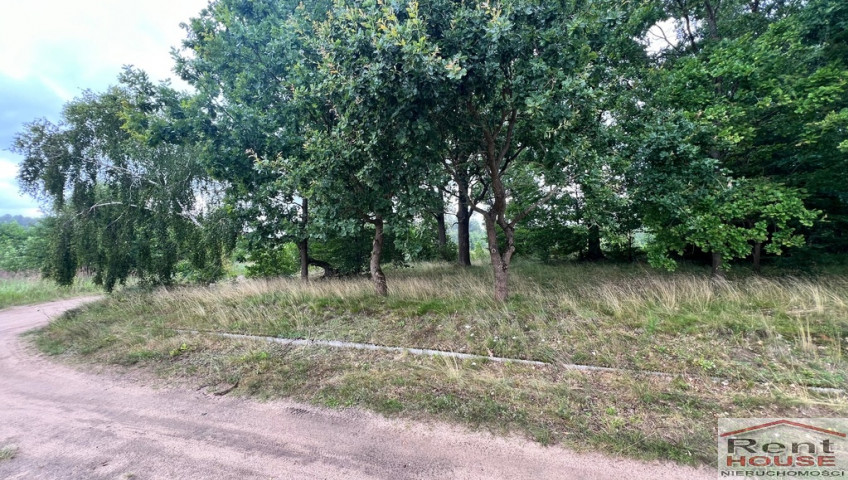 Działka Sprzedaż Storkowo