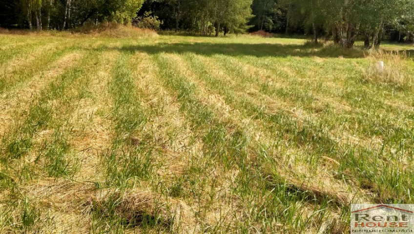 Działka Sprzedaż Grzepnica