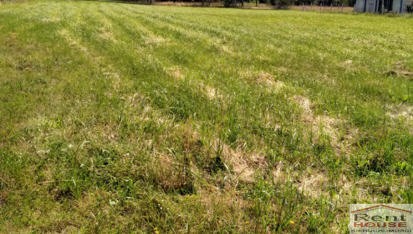 Działka Sprzedaż Grzepnica