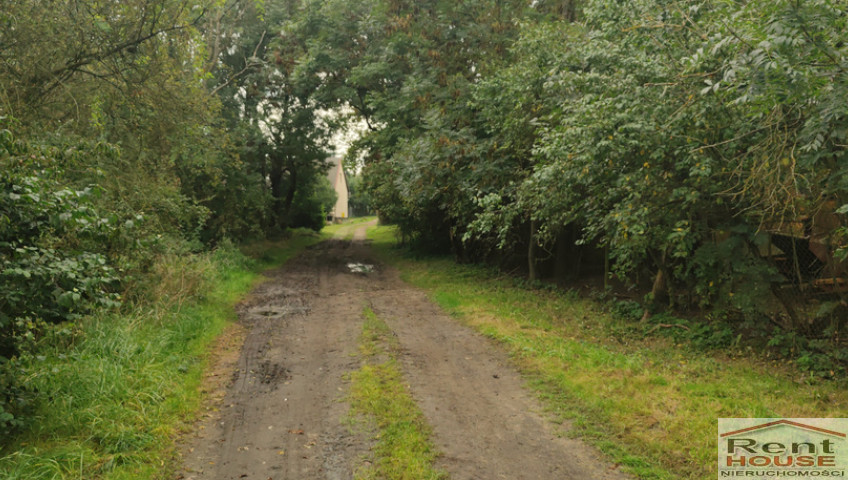 Działka Sprzedaż Barnisław