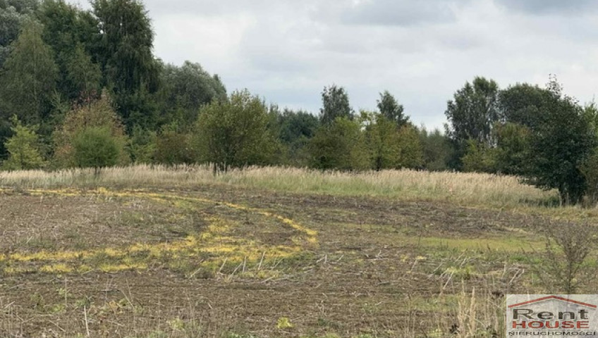 Działka Sprzedaż Stara Dąbrowa