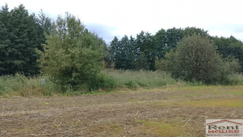 Działka Sprzedaż Stara Dąbrowa