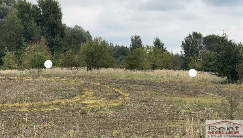Działka Sprzedaż Stara Dąbrowa