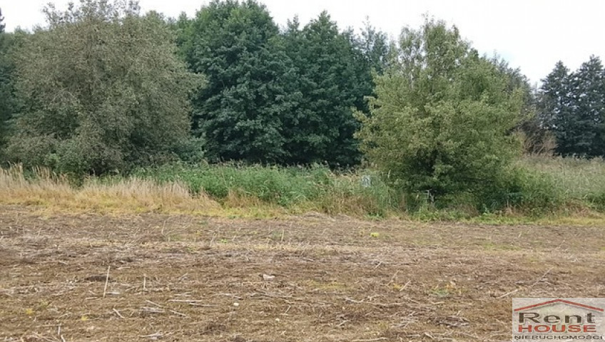 Działka Sprzedaż Stara Dąbrowa