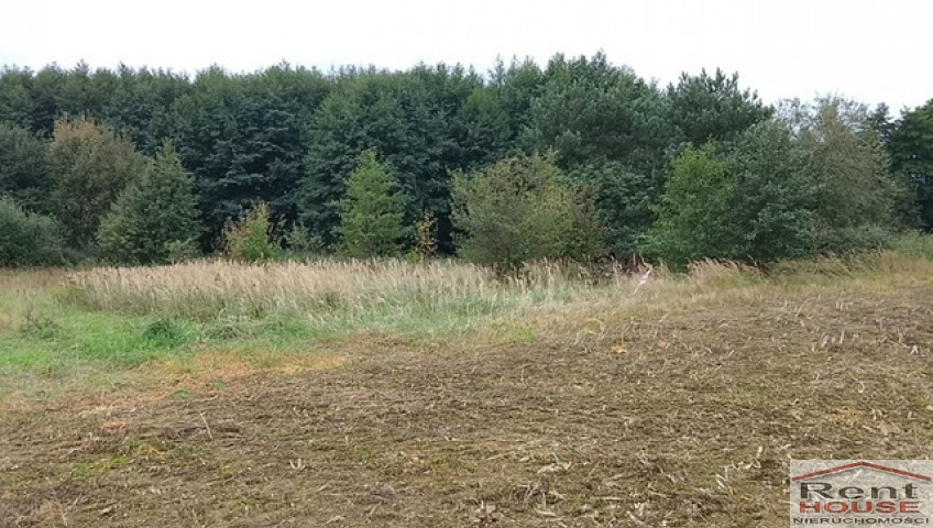 Działka Sprzedaż Stara Dąbrowa