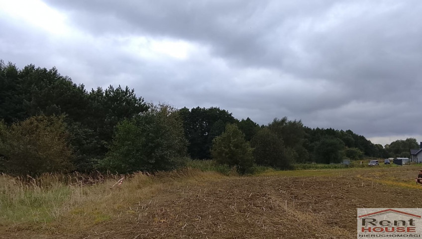 Działka Sprzedaż Stara Dąbrowa