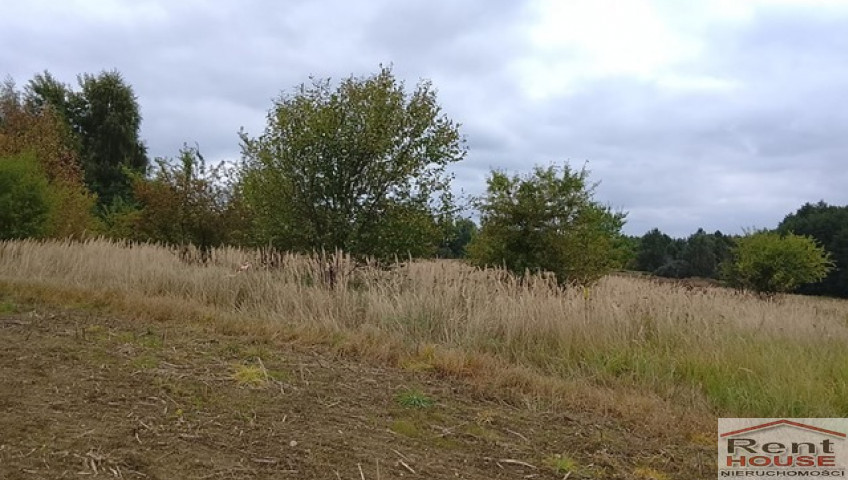 Działka Sprzedaż Stara Dąbrowa