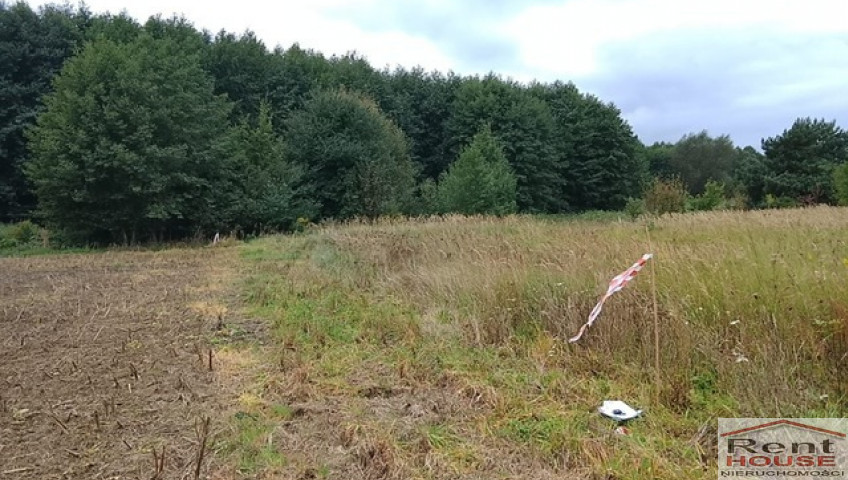 Działka Sprzedaż Stara Dąbrowa