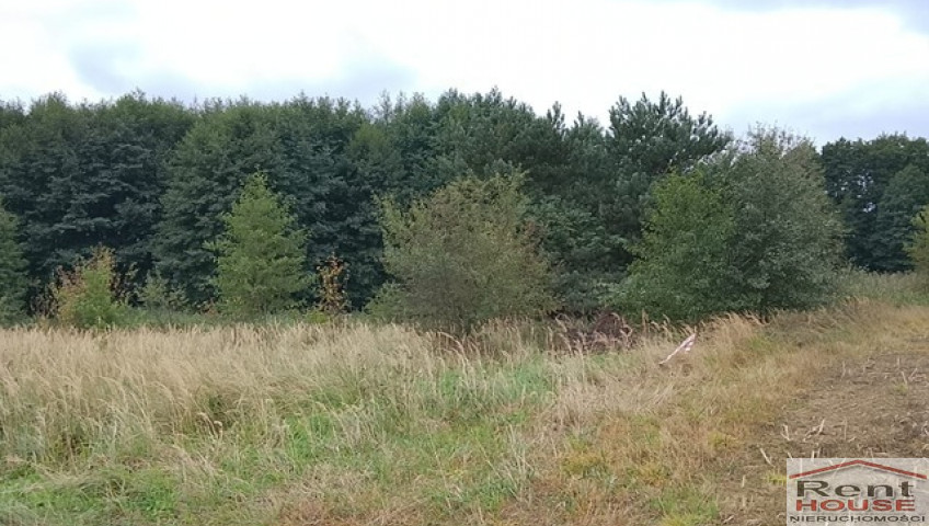 Działka Sprzedaż Stara Dąbrowa