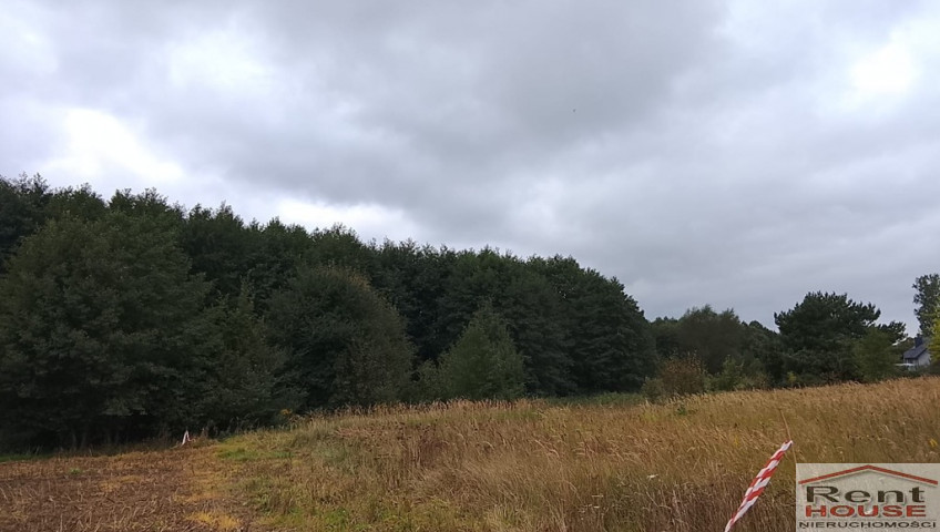 Działka Sprzedaż Stara Dąbrowa