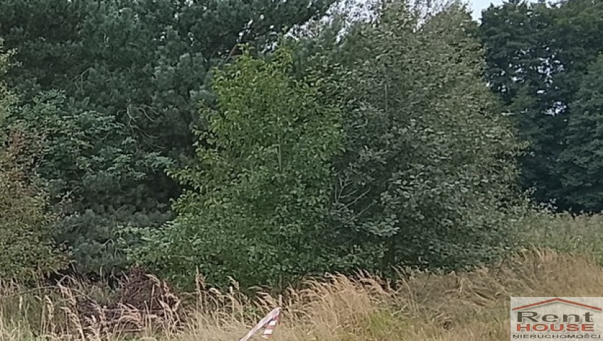 Działka Sprzedaż Stara Dąbrowa