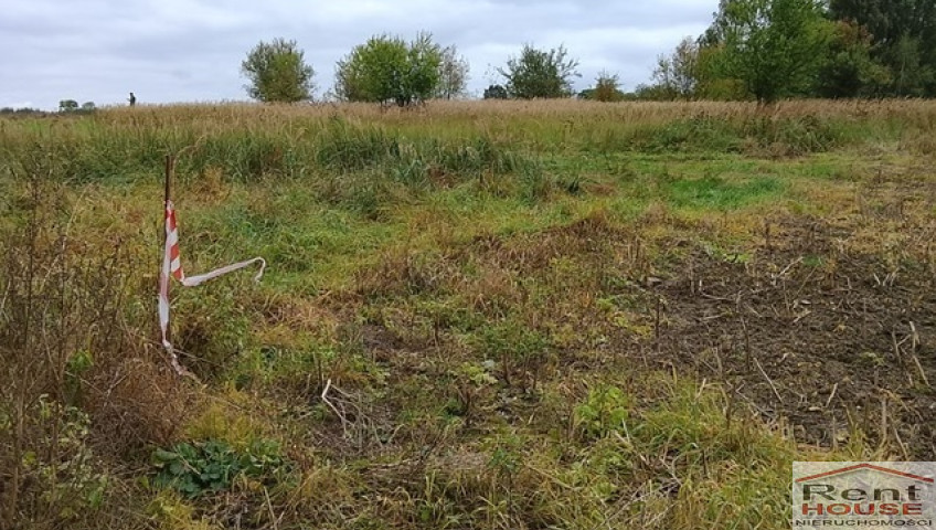 Działka Sprzedaż Stara Dąbrowa
