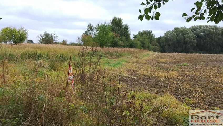 Działka Sprzedaż Stara Dąbrowa