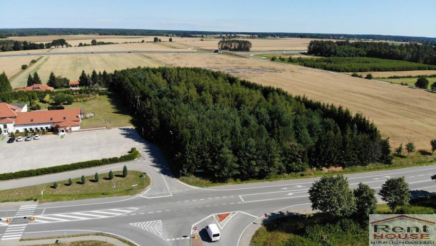 Działka Sprzedaż Kikorze