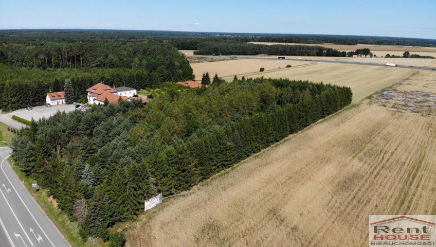 Działka Sprzedaż Kikorze