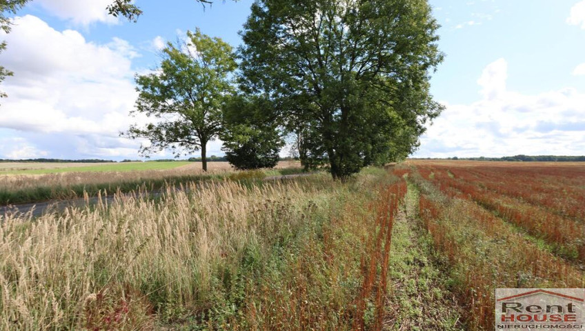Działka Sprzedaż Dębice
