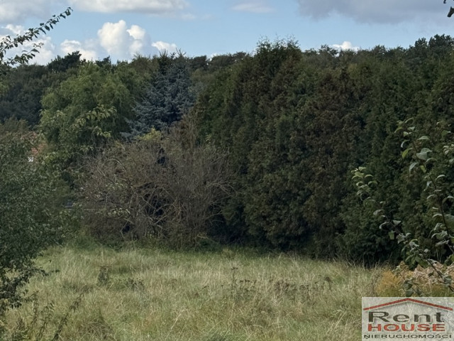 Działka Sprzedaż Szczecin Pilchowo