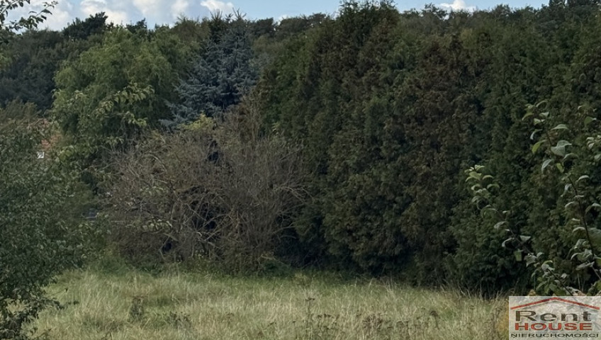 Działka Sprzedaż Szczecin Pilchowo