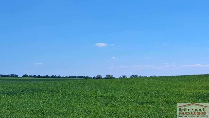 Działka Sprzedaż Grabowo