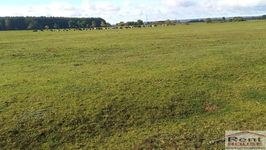 Działka Sprzedaż Borzysławiec
